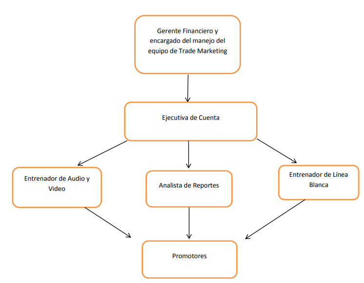  Estructura del equipo de Trade Marketing  